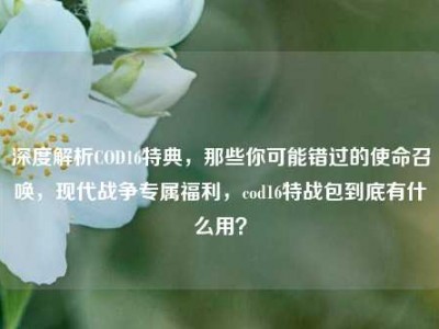 深度解析COD16特典，那些你可能错过的使命召唤，现代战争专属福利，cod16特战包到底有什么用？