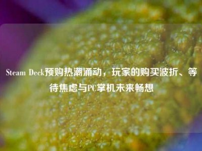 Steam Deck预购热潮涌动，玩家的购买波折、等待焦虑与PC掌机未来畅想