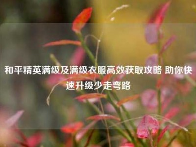 和平精英满级及满级衣服高效获取攻略 助你快速升级少走弯路