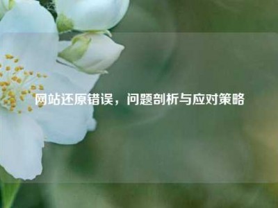 网站还原错误，问题剖析与应对策略
