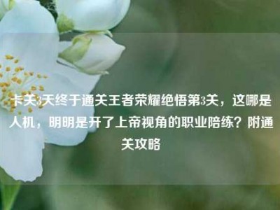 卡关3天终于通关王者荣耀绝悟第3关，这哪是人机，明明是开了上帝视角的职业陪练？附通关攻略