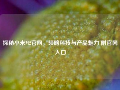 探秘小米M2官网，领略科技与产品魅力 附官网入口