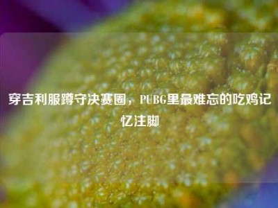 穿吉利服蹲守决赛圈，PUBG里最难忘的吃鸡记忆注脚
