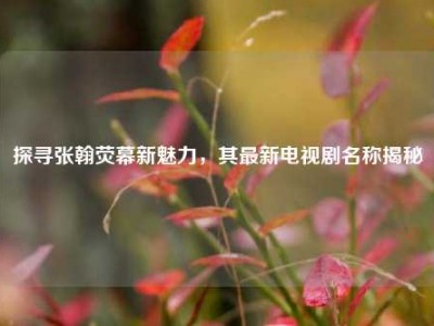 探寻张翰荧幕新魅力，其最新电视剧名称揭秘