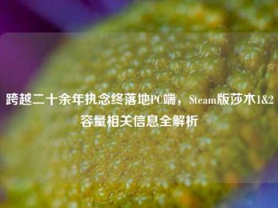 跨越二十余年执念终落地PC端，Steam版莎木1&2容量相关信息全解析