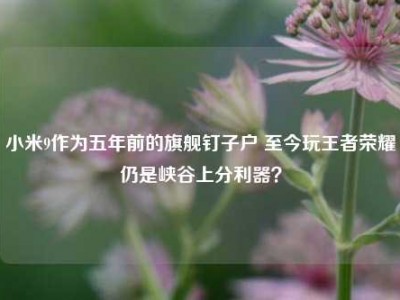 小米9作为五年前的旗舰钉子户 至今玩王者荣耀仍是峡谷上分利器？