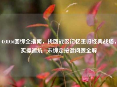 COD16回绑全指南，找回战区记忆重归经典战场，实操避坑+未绑定按键问题全解