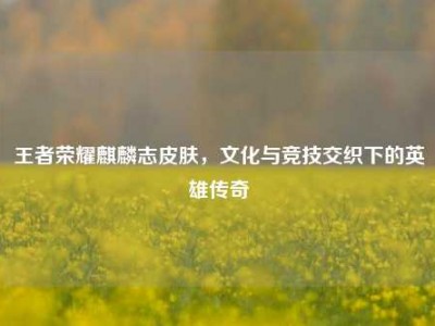 王者荣耀麒麟志皮肤，文化与竞技交织下的英雄传奇