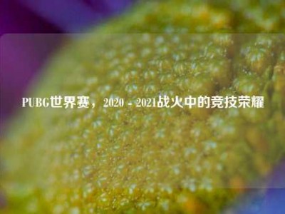 PUBG世界赛，2020 - 2021战火中的竞技荣耀