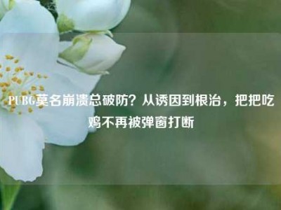 PUBG莫名崩溃总破防？从诱因到根治，把把吃鸡不再被弹窗打断