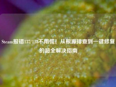 Steam报错137/118不用慌！从根源排查到一键修复的超全解决指南