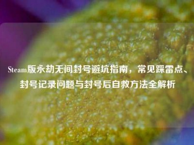 Steam版永劫无间封号避坑指南，常见踩雷点、封号记录问题与封号后自救方法全解析