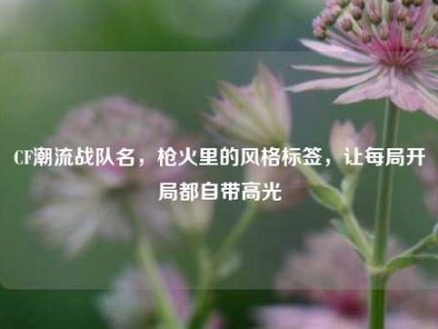 CF潮流战队名，枪火里的风格标签，让每局开局都自带高光