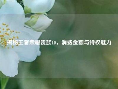 揭秘王者荣耀贵族10，消费金额与特权魅力