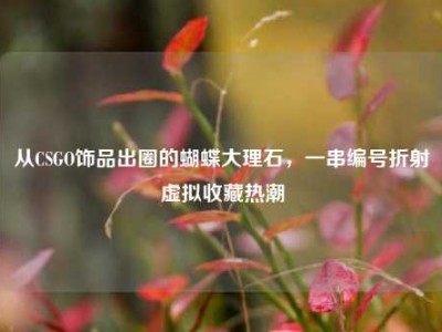 从CSGO饰品出圈的蝴蝶大理石，一串编号折射虚拟收藏热潮