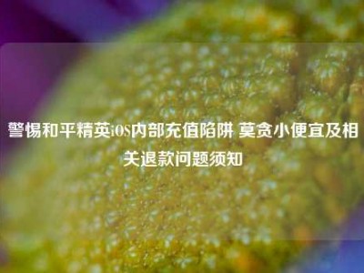 警惕和平精英iOS内部充值陷阱 莫贪小便宜及相关退款问题须知