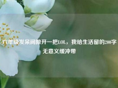 六年级发呆间隙开一把LOL，我给生活留的200字无意义缓冲带
