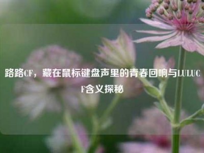 路路CF，藏在鼠标键盘声里的青春回响与LULUCF含义探秘