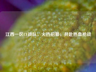 江西一区CF战队，火热招募，共赴热血枪战