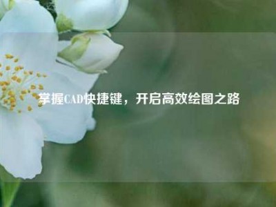 掌握CAD快捷键，开启高效绘图之路
