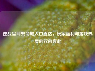 逆战官网聚商城入口直达，玩家福利与游戏热爱的双向奔赴