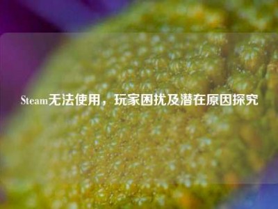 Steam无法使用，玩家困扰及潜在原因探究