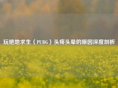 玩绝地求生（PUBG）头疼头晕的原因深度剖析