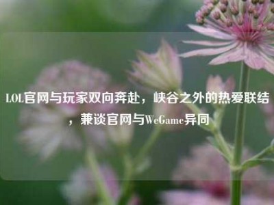 LOL官网与玩家双向奔赴，峡谷之外的热爱联结，兼谈官网与WeGame异同