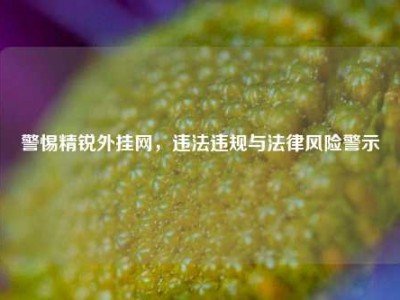 警惕精锐外挂网，违法违规与法律风险警示