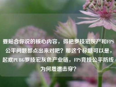 要贴合你说的核心内容，得把罗技宏灰产和FPS公平问题都点出来对吧？那这个标题可以是，起底PUBG罗技宏灰色产业链，FPS竞技公平防线为何屡遭击穿？