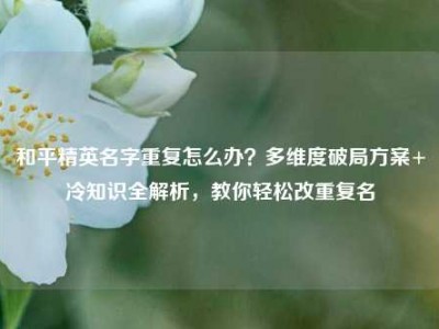 和平精英名字重复怎么办？多维度破局方案+冷知识全解析，教你轻松改重复名