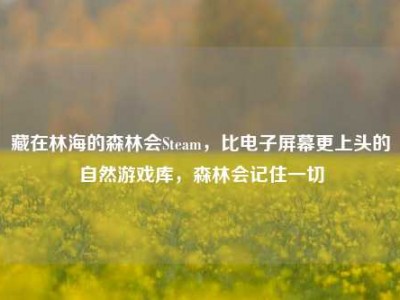 藏在林海的森林会Steam，比电子屏幕更上头的自然游戏库，森林会记住一切