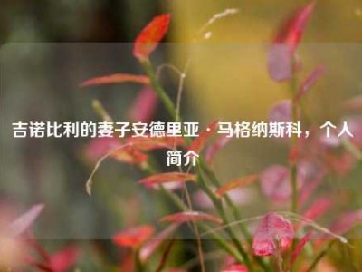 吉诺比利的妻子安德里亚·马格纳斯科，个人简介