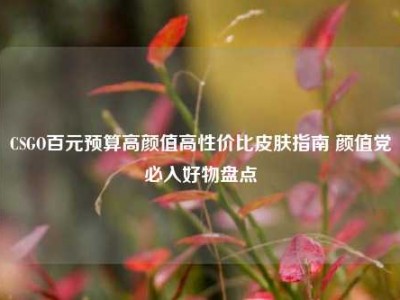 CSGO百元预算高颜值高性价比皮肤指南 颜值党必入好物盘点