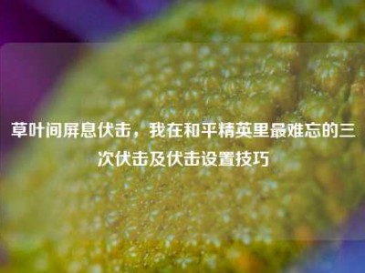草叶间屏息伏击，我在和平精英里最难忘的三次伏击及伏击设置技巧