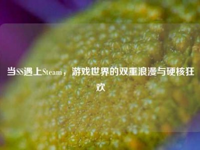 当SS遇上Steam，游戏世界的双重浪漫与硬核狂欢