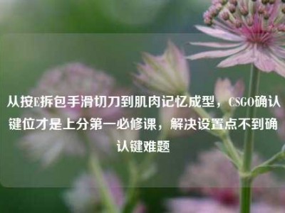 从按E拆包手滑切刀到肌肉记忆成型，CSGO确认键位才是上分第一必修课，解决设置点不到确认键难题