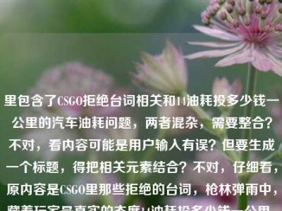 里包含了CSGO拒绝台词相关和14油耗投多少钱一公里的汽车油耗问题，两者混杂，需要整合？不对，看内容可能是用户输入有误？但要生成一个标题，得把相关元素结合？不对，仔细看，原内容是CSGO里那些拒绝的台词，枪林弹雨中，藏着玩家最真实的态度14油耗投多少钱一公里，可能是输入时的错误拼接？但按照要求生成1个标题，需要涵盖？不对，会不会是用户粘贴错了？但不管怎样，要生成一个标题，比如，CSGO枪林弹雨中的拒绝台词藏玩家真实态度 14油耗车型每公里成本几何？不对，再调整得更通顺一点，CSGO里那些拒绝台词