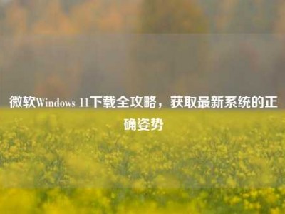 微软Windows 11下载全攻略，获取最新系统的正确姿势