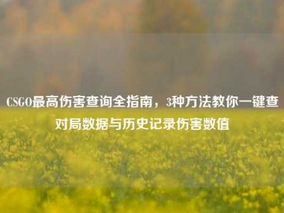 CSGO最高伤害查询全指南，3种方法教你一键查对局数据与历史记录伤害数值