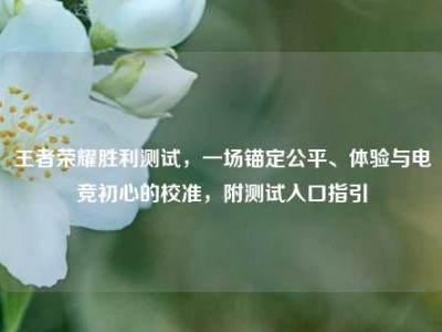 王者荣耀胜利测试，一场锚定公平、体验与电竞初心的校准，附测试入口指引