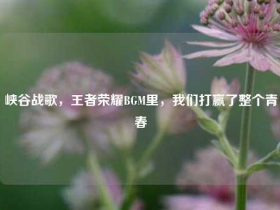 峡谷战歌，王者荣耀BGM里，我们打赢了整个青春