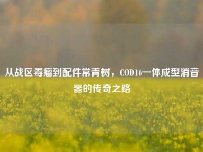 从战区毒瘤到配件常青树，COD16一体成型消音器的传奇之路
