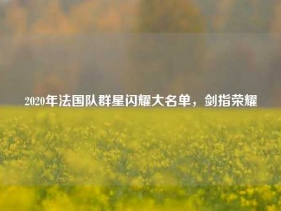 2020年法国队群星闪耀大名单，剑指荣耀