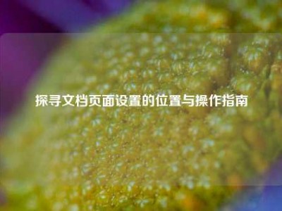 探寻文档页面设置的位置与操作指南