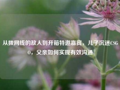 从拔网线的敌人到开箱特邀嘉宾，儿子沉迷CSGO，父亲如何实现有效沟通