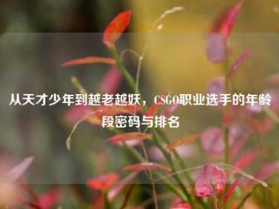 从天才少年到越老越妖，CSGO职业选手的年龄段密码与排名