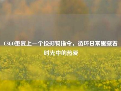 CSGO重复上一个投掷物指令，循环日常里藏着时光中的热爱