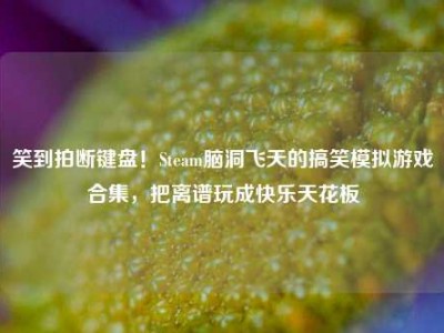 笑到拍断键盘！Steam脑洞飞天的搞笑模拟游戏合集，把离谱玩成快乐天花板