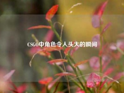 CSGO中角色令人头大的瞬间